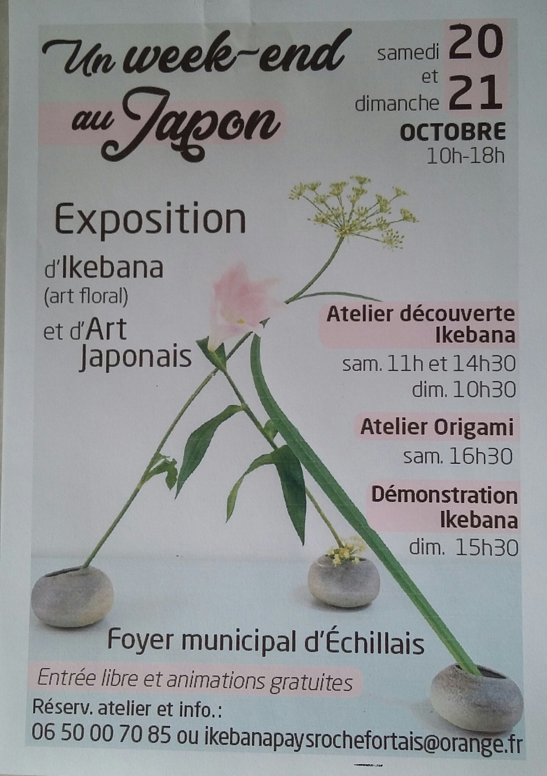 Ikebana - Art Floral Japonais