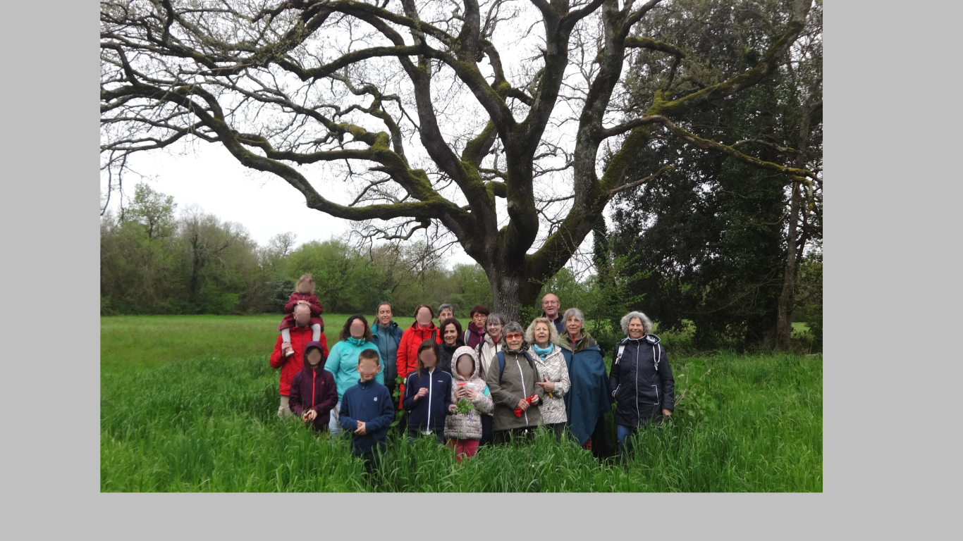 photo de groupe