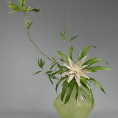 jiyu hyogen
