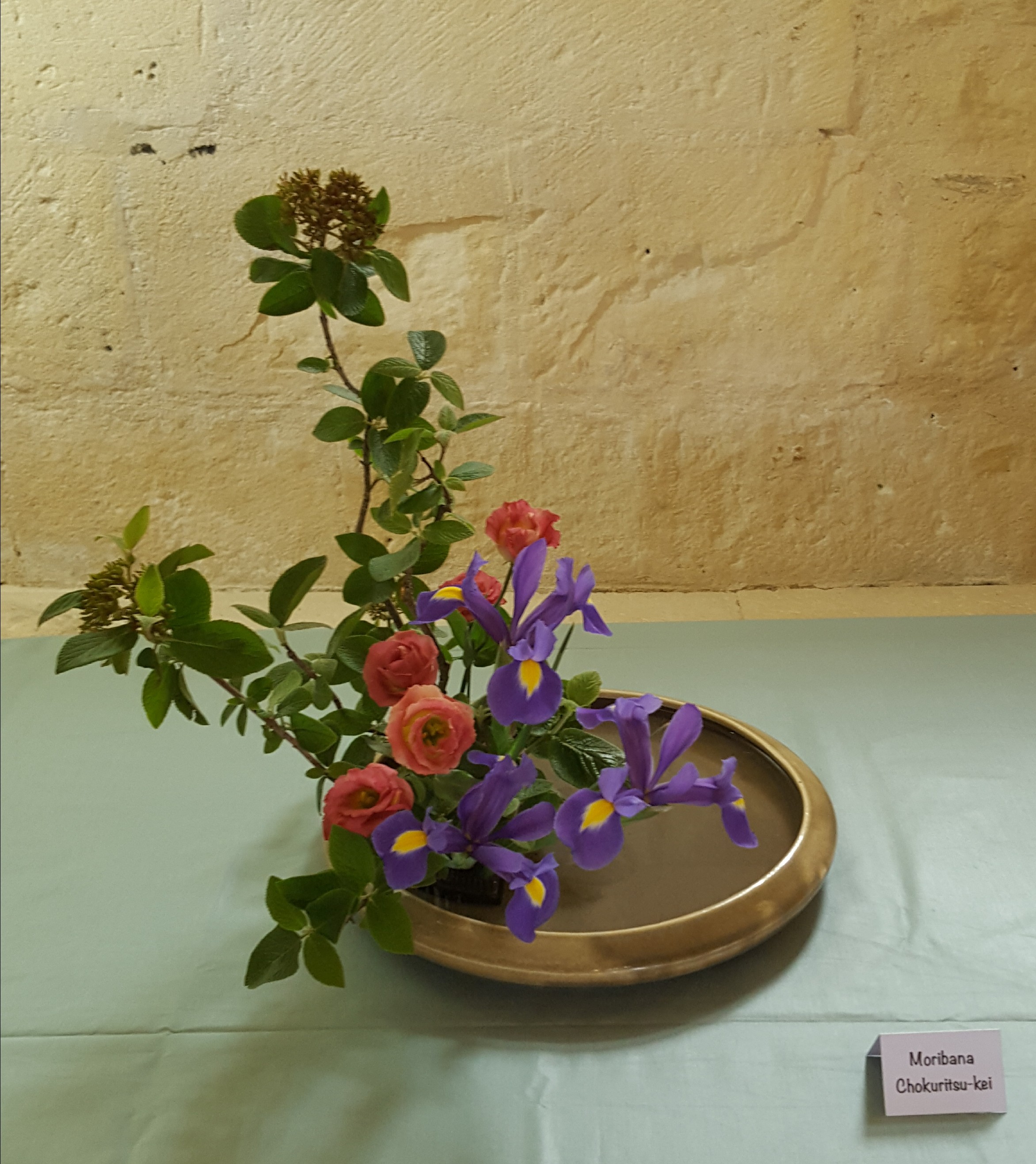 Moribana chokuritsu kei 2