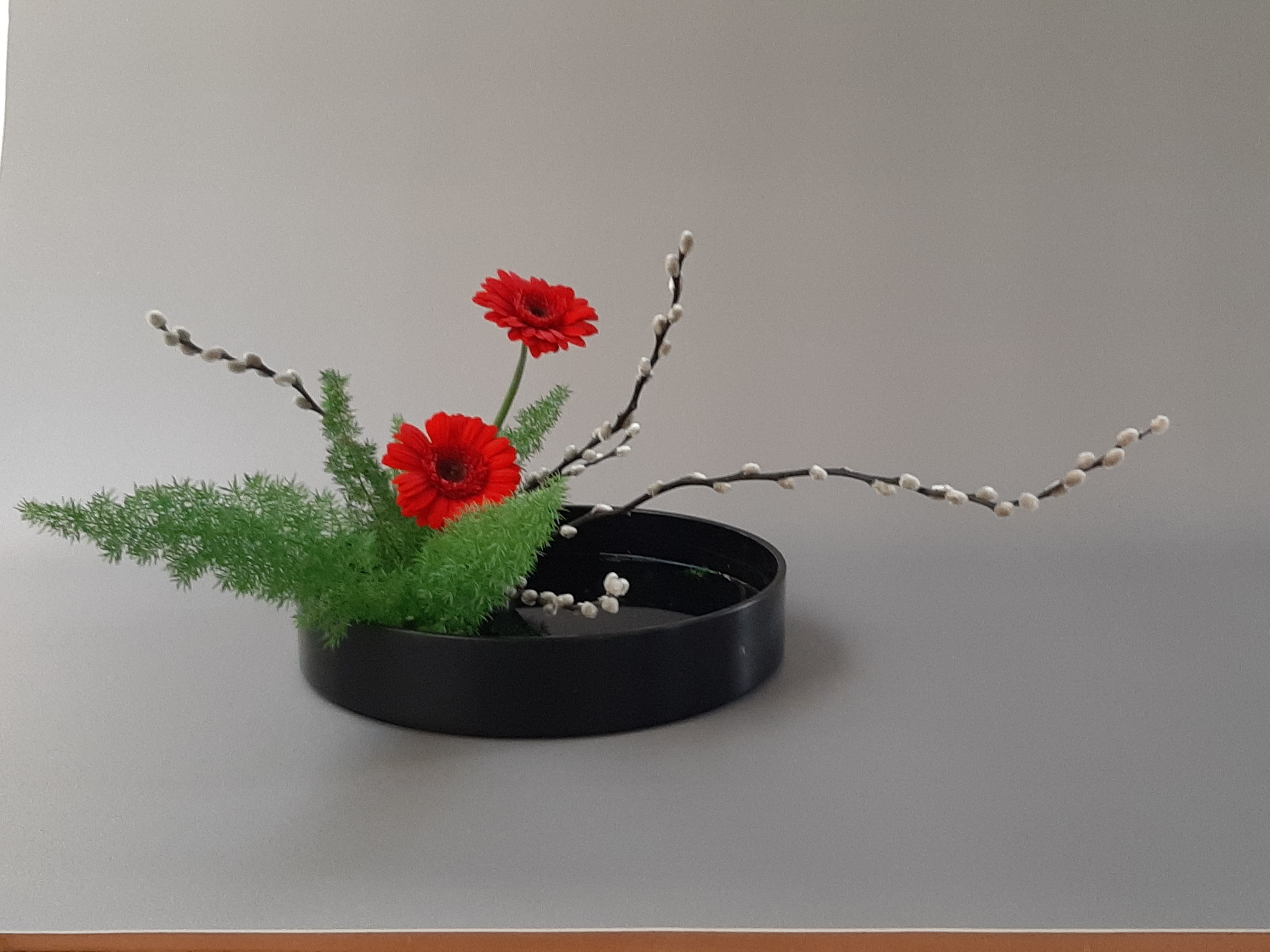 Moribana kansui ke