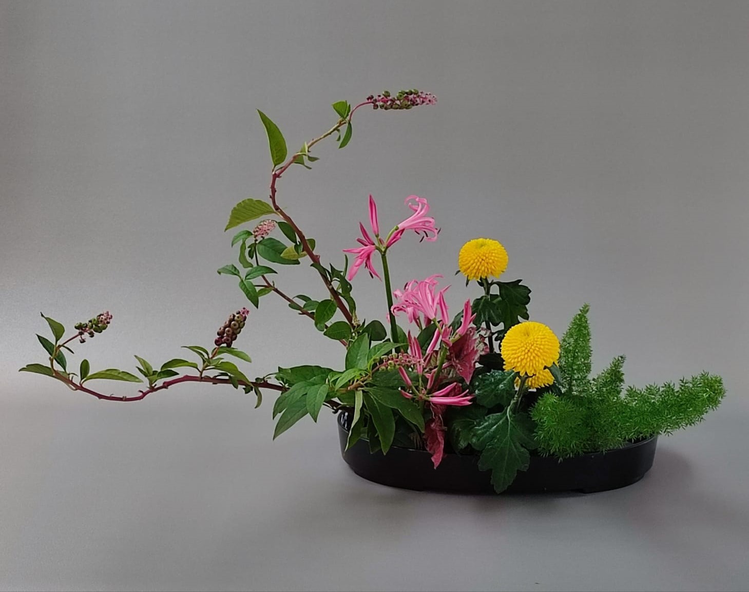 Moribana multivariete
