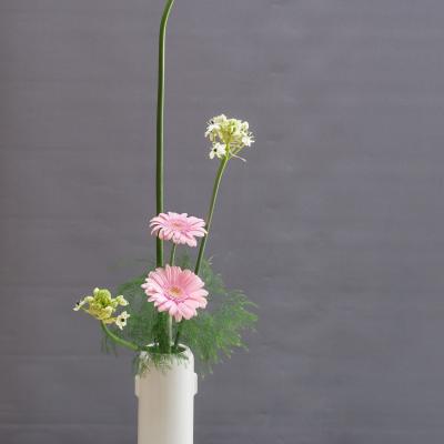 TATERU DANS UN VASE HIBIKI