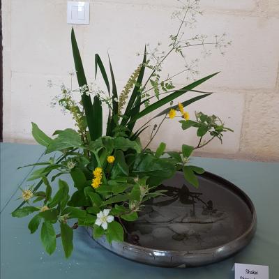 EXPO ABBAYE DE TRIZAY