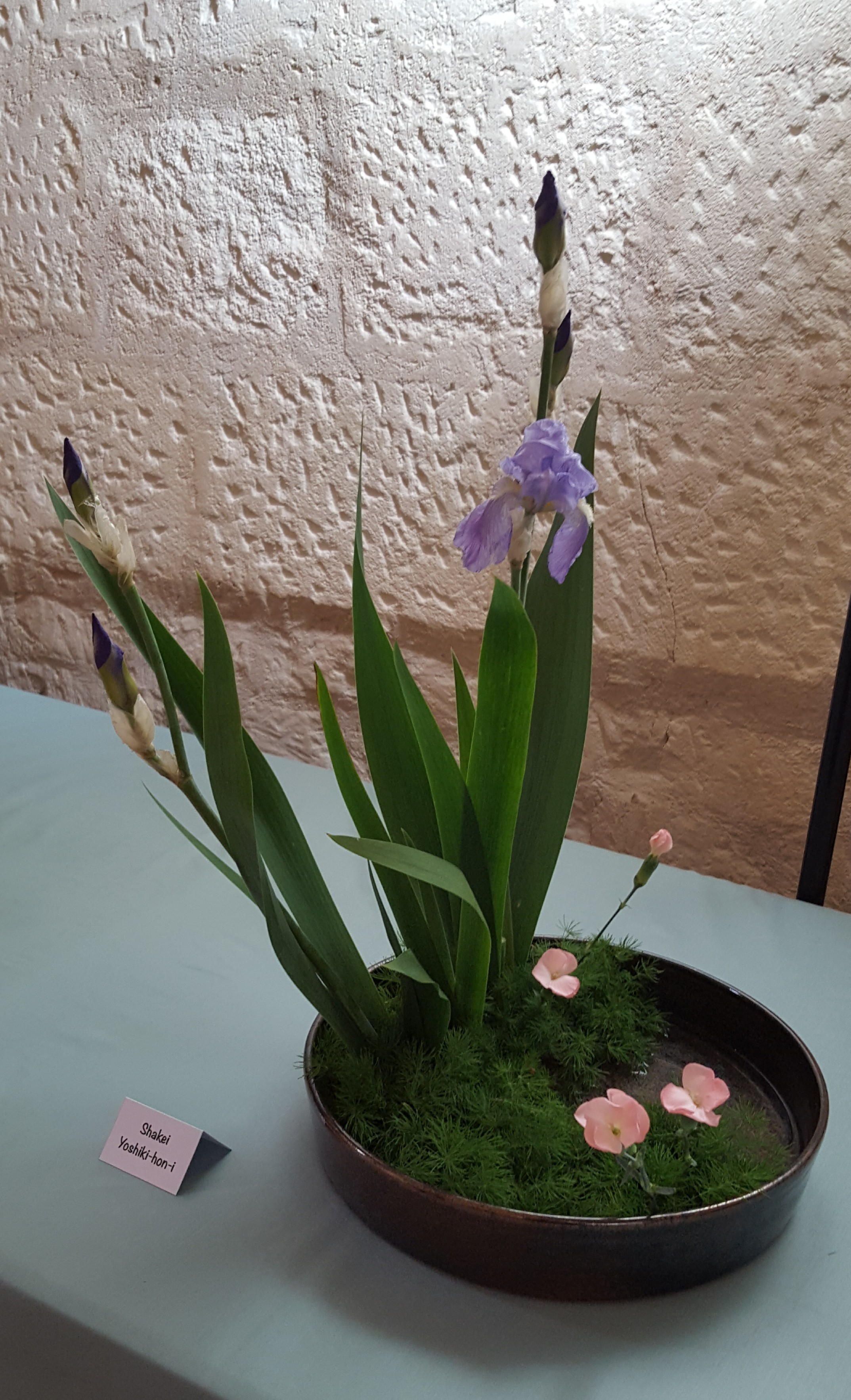 Shakei moribana yoshiki hon i