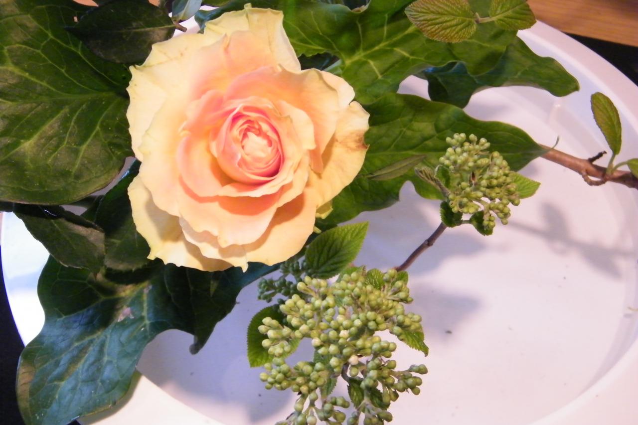 dscf3463.jpg